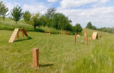 Agility Bořenovice