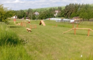 Agility Bořenovice