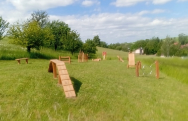 Agility Bořenovice