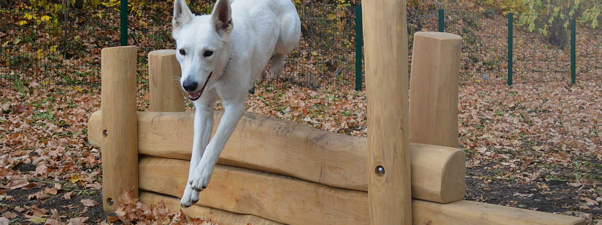 Hřiště pod Květinou - Agility